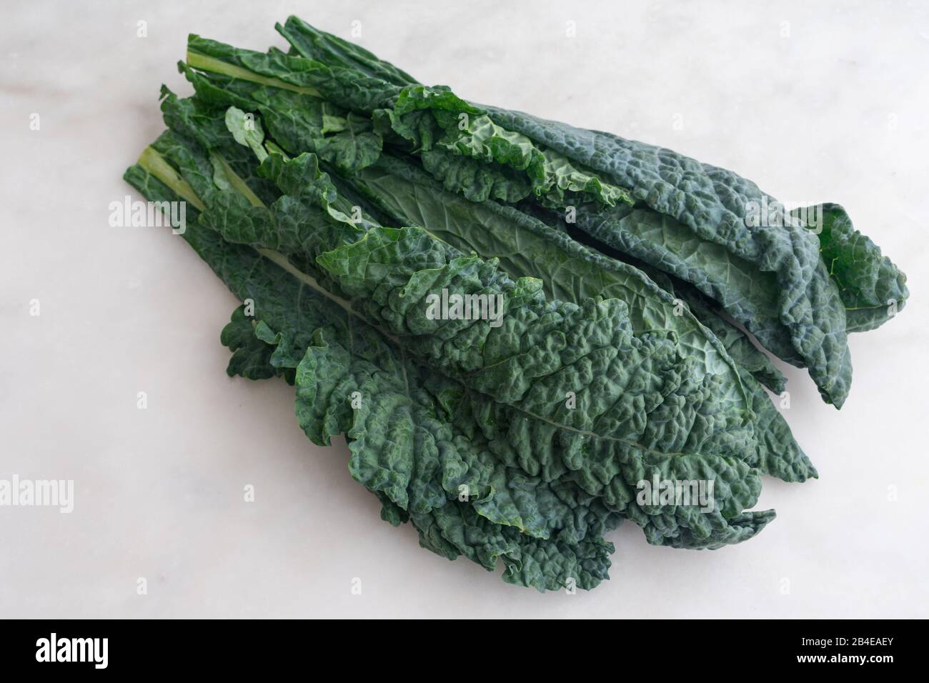 Lacinato Kale Leaves on White Marble Background: A group of fresh dinosaur kale leaves on a white marble table Stock Photo