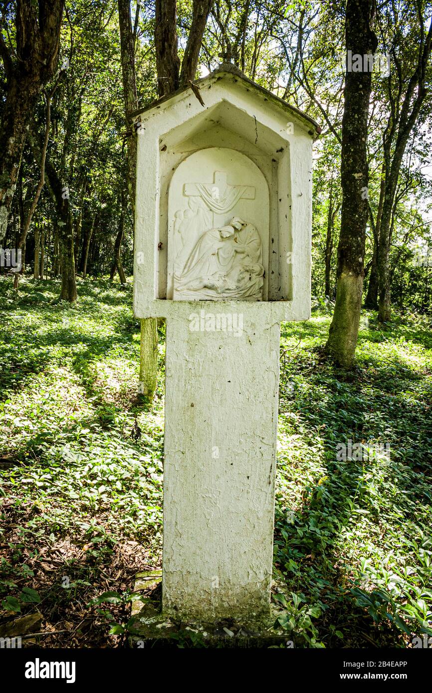 Caibi Santa Catarina fonte: c8.alamy.com