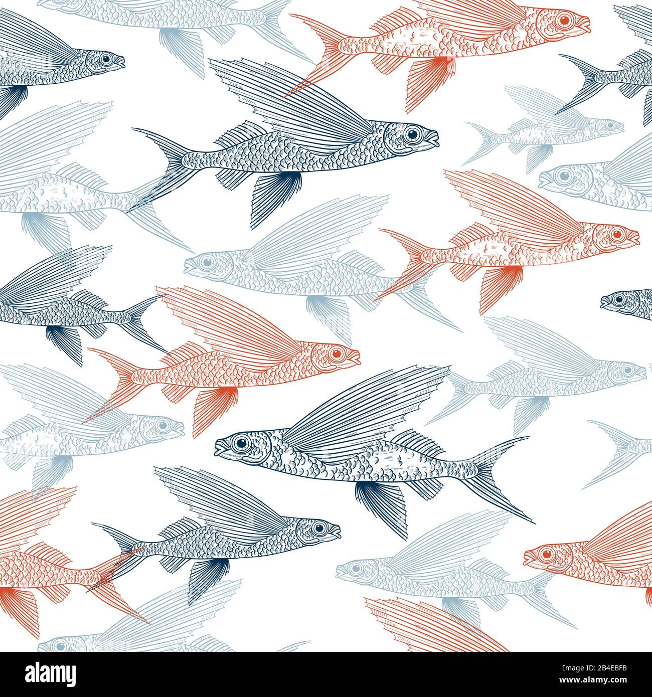 Flyingfish Stock Vector Images - Alamy