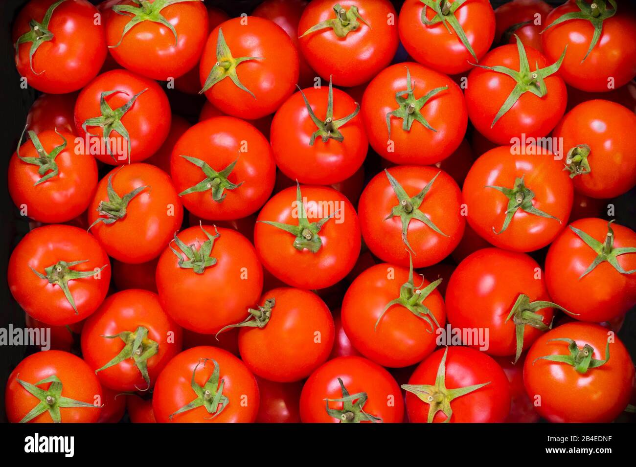 Delicious looking ripe tomatoes hi-res stock photography and images - Alamy