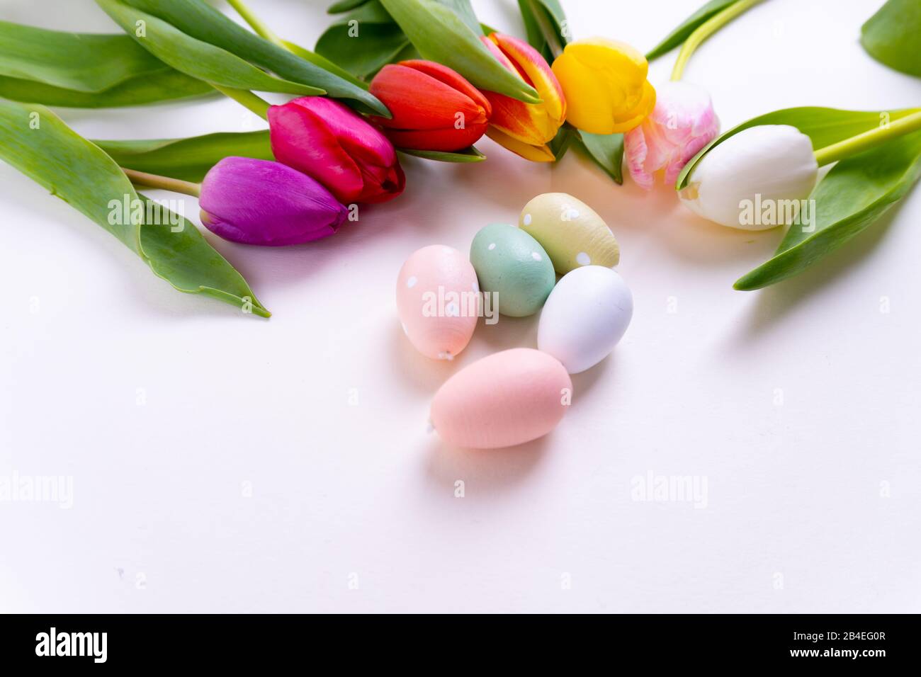 Colorful tulips laying in a circle easter eggs on white background with ...