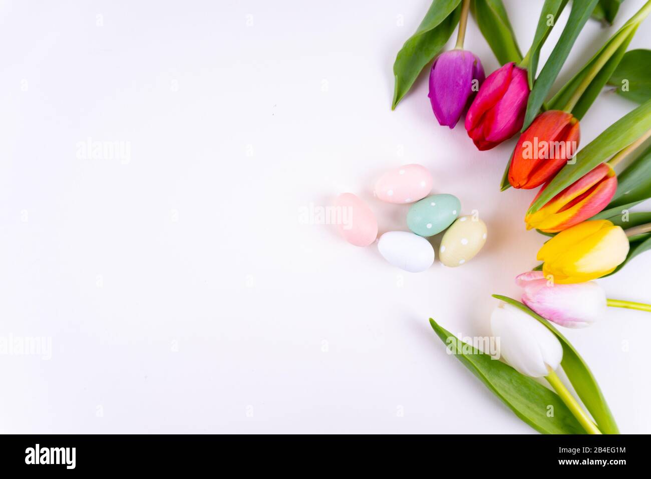 Colorful tulips laying in a circle easter eggs on white background with ...