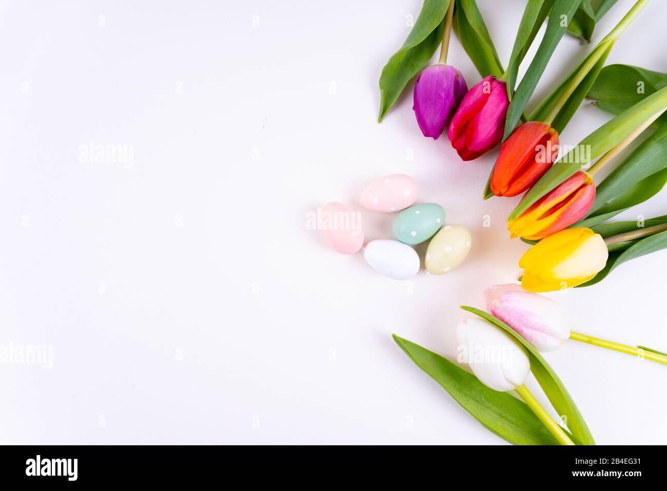 Colorful tulips laying in a circle easter eggs on white background with ...