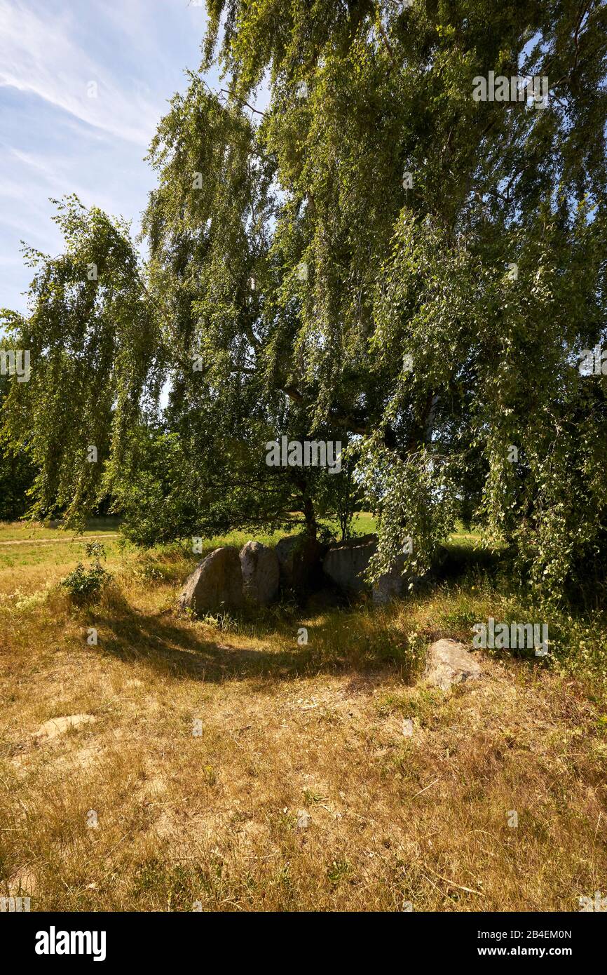 Megalithic tombs of the Neolithic funnel beaker culture at Lancken-Granitz on Rügen, district of Vorpommern-Rügen, Mecklenburg-Vorpommern, Germany Stock Photo