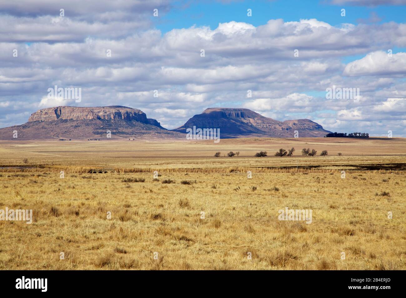 Grass steppe with table mountains near Harrismith in the Free State. Stock Photo