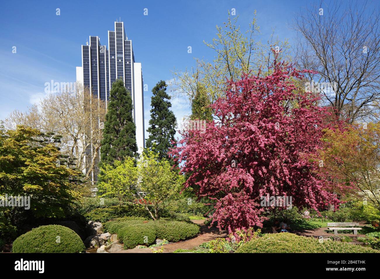 Park Planten un Blomen and Radisson Blu Hotel in Hamburg, Germany Stock Photo Alamy Park Planten un Blomen and Radisson Blu Hotel in Hamburg, Germany Stock Photo Alamy
