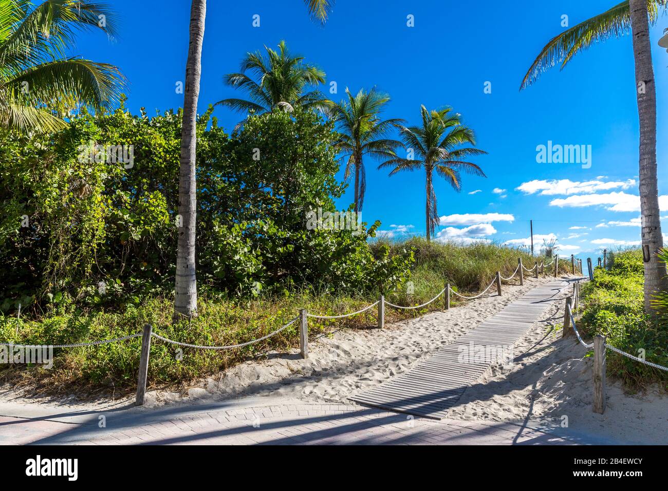 Walk to the beach, Lummus Park, South Beach, Miami Beach, Miami-Dade County, Florida, USA, North America Stock Photo