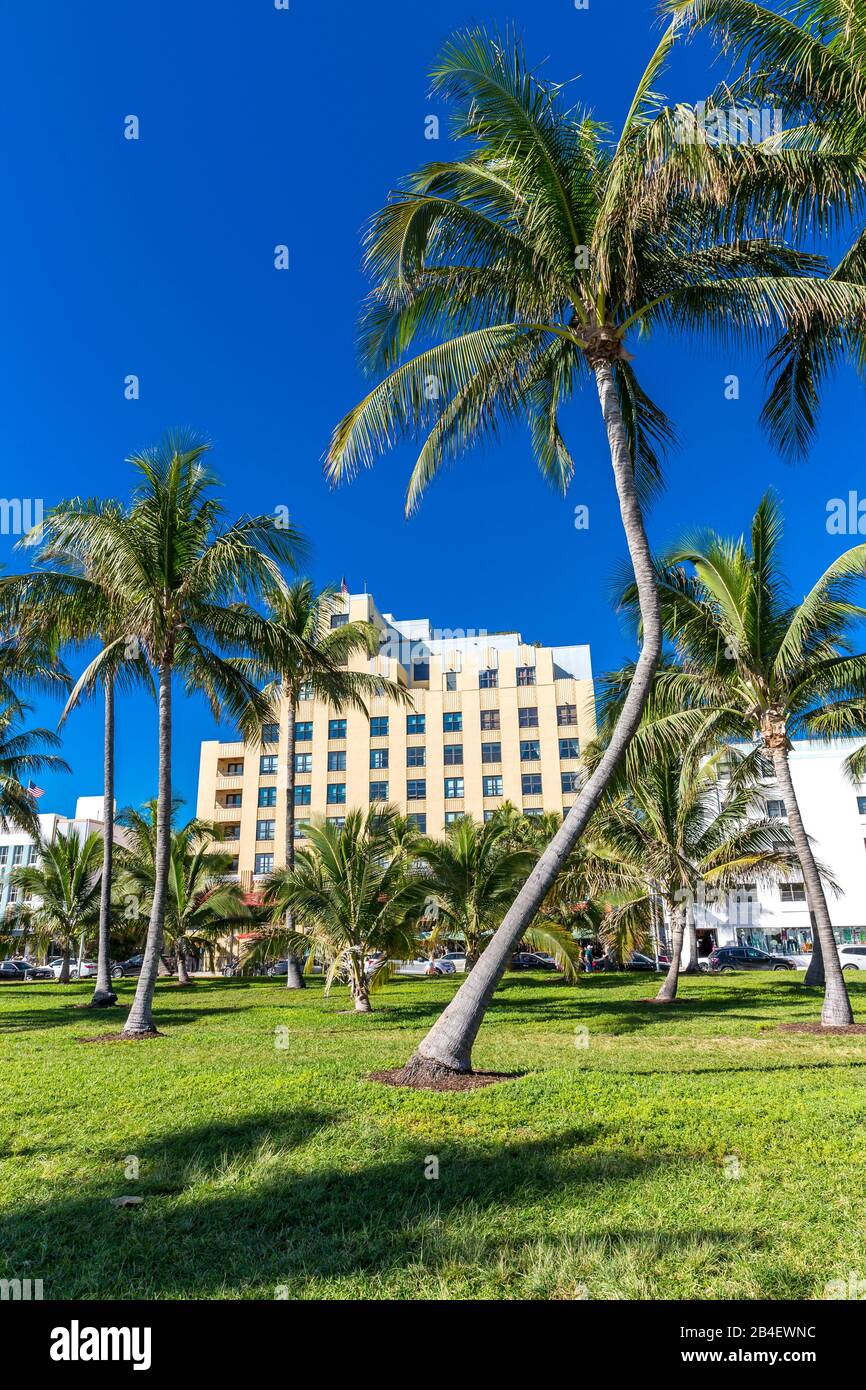 The Netherland Hotel, Lummus Park, Ocean Drive, Art Deco District, South Beach, Miami Beach, Miami-Dade County, Florida, USA, Nordamerika Stock Photo