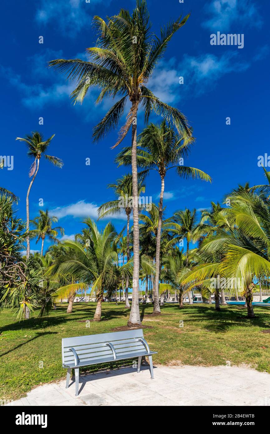 Bank in Lummus Park, Miami Beach, Miami-Dade County, Florida, USA, North America Stock Photo