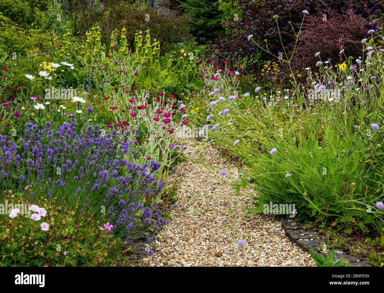 Gravel garden hires stock photography and images Alamy