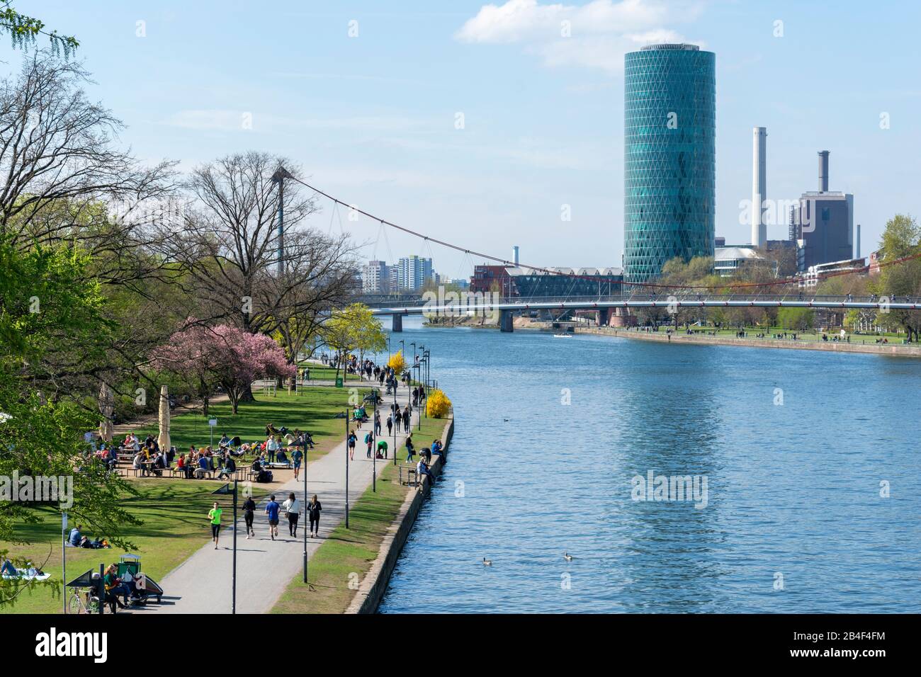 Germany, Hesse, Frankfurt, the Mainufer with the Main Tower in the background. Stock Photo