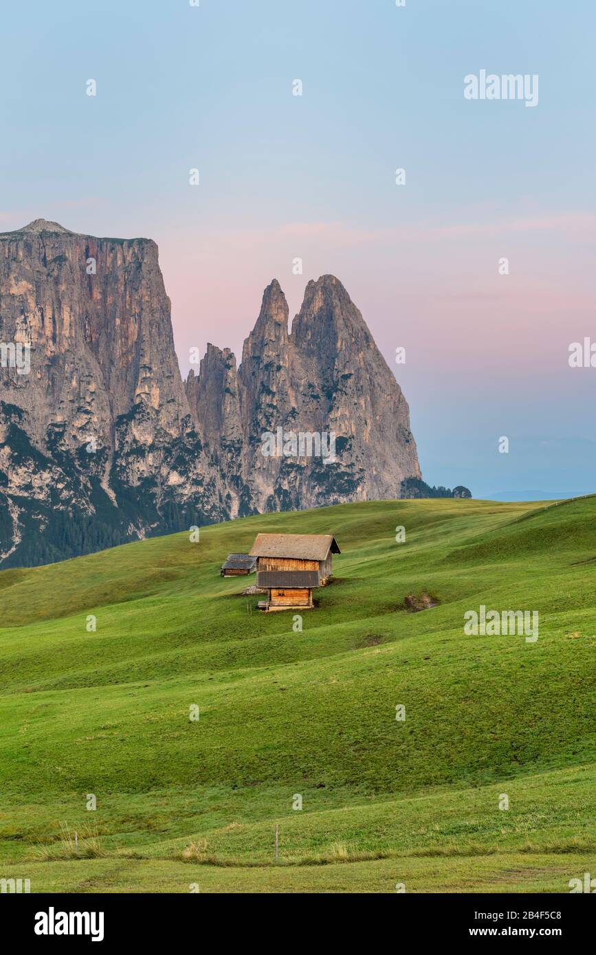 Seiser Alm, Kastelruth, Südtirol, Provinz Bozen, Italien, Europa. Vor Sonnenaufgang auf der Seiser Alm mit Blick zum Schlern Stock Photo