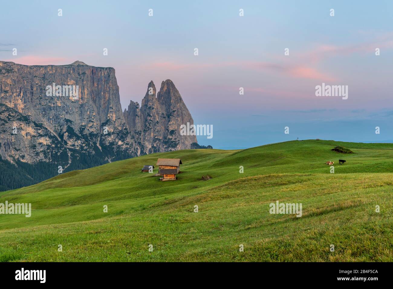 Seiser Alm, Kastelruth, Südtirol, Provinz Bozen, Italien, Europa. Vor Sonnenaufgang auf der Seiser Alm mit Blick zum Schlern Stock Photo