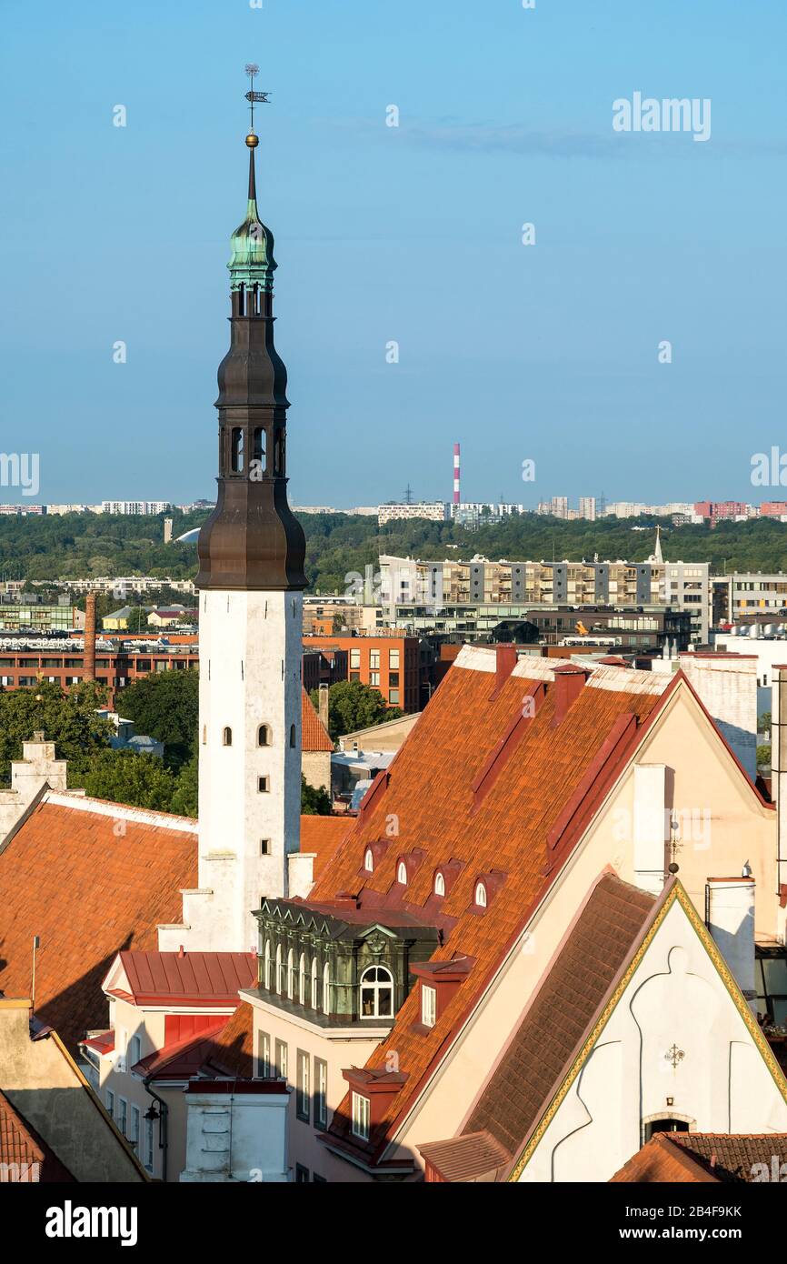 Estland, Tallinn, Blick vom Domberg zum Rathausturm Stock Photo