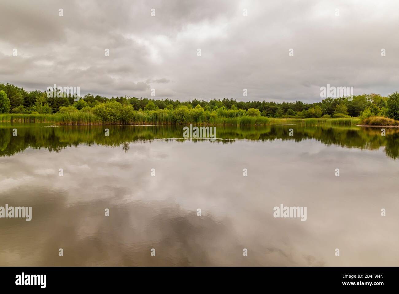 small man-made lake in the forest Stock Photo