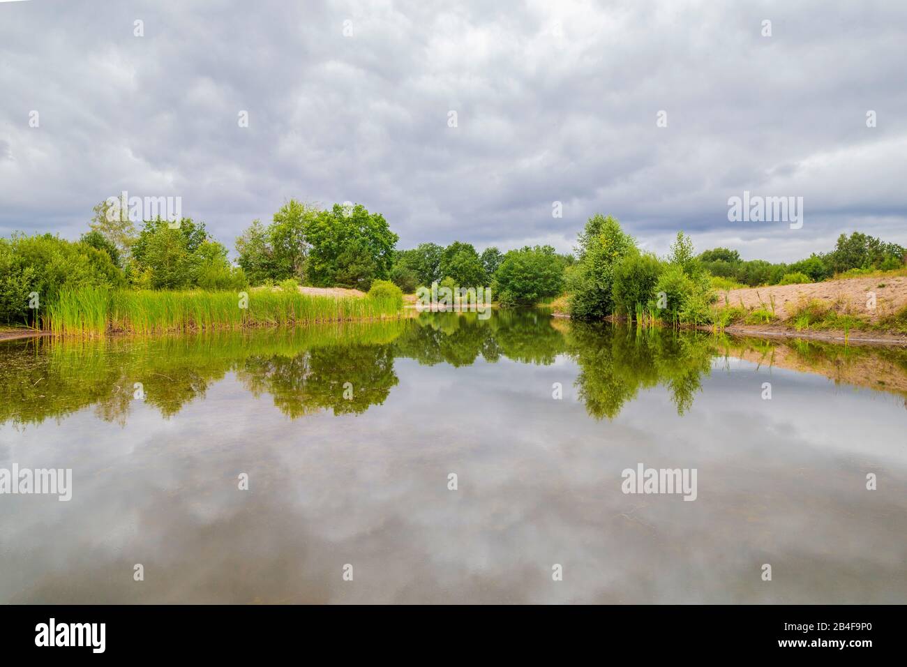 small man-made lake in the forest Stock Photo