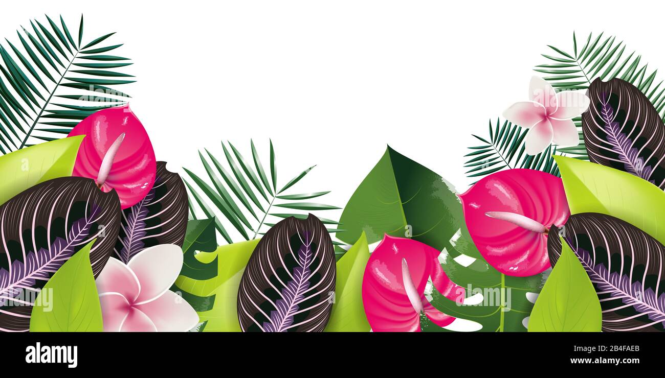 Tropical flowers and green leaves illustration large banner Stock Photo