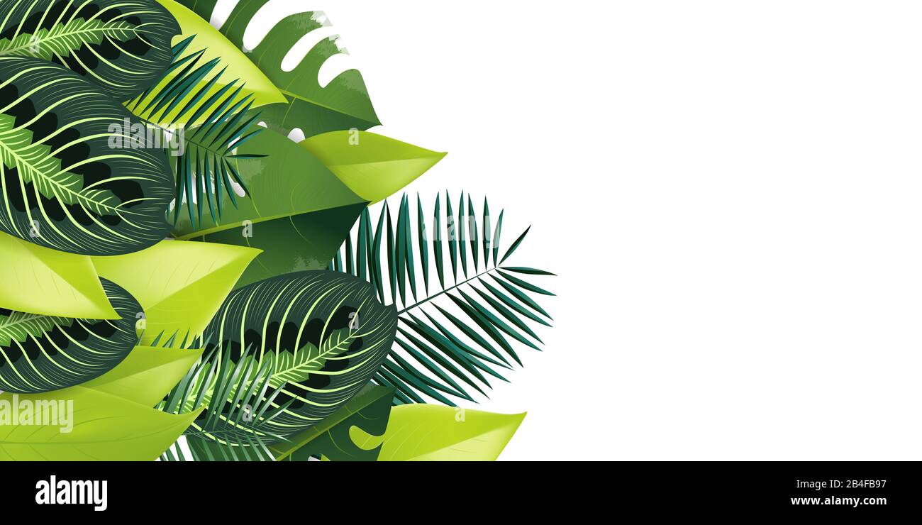 Tropical flowers and green leaves illustration large banner Stock Photo