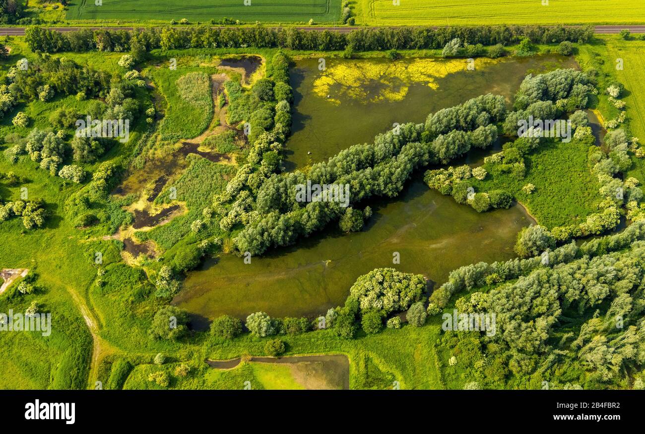 Aerial view of the Former Settlement Oak at the Soest Sugar Factory on the  Hammer Strasse in Soest in the Soester Börde, in the Federal State of North  Rhine-Westphalia in Germany, Soester
