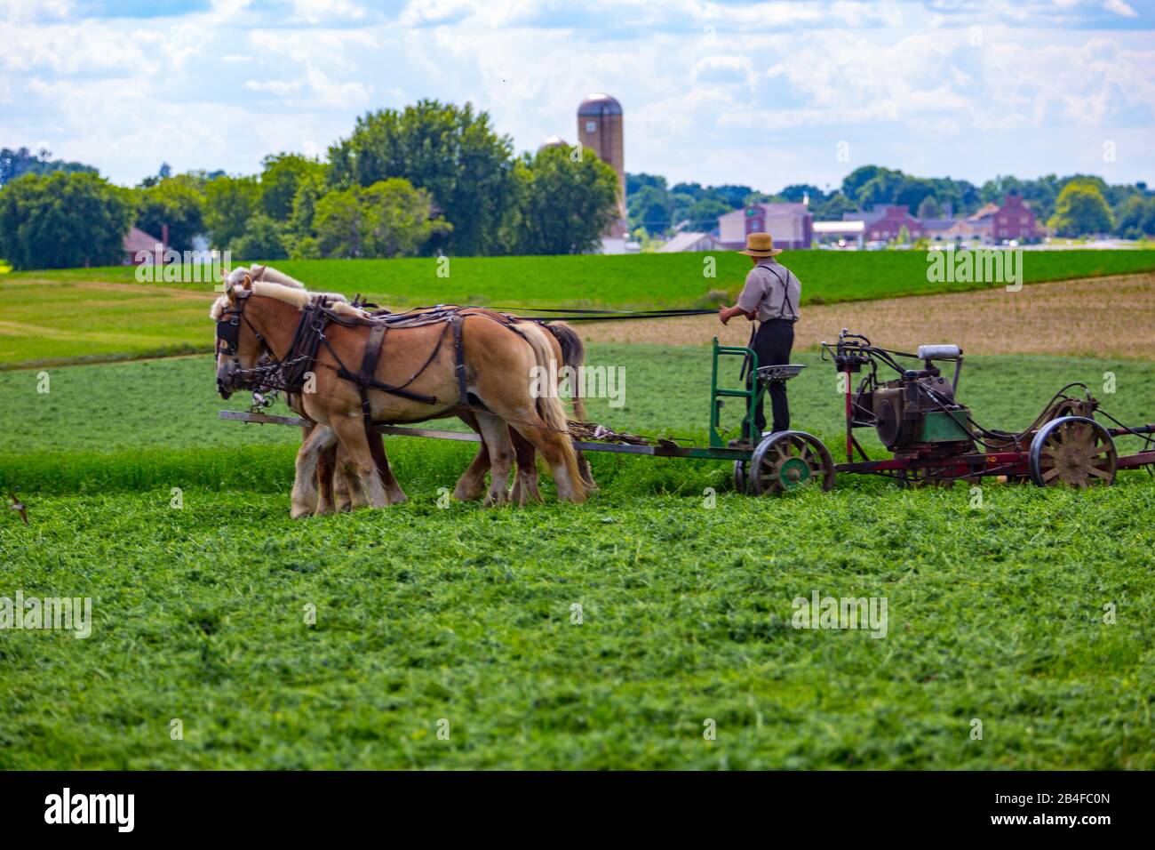 Harvest hay horses team hi-res stock photography and images - Alamy