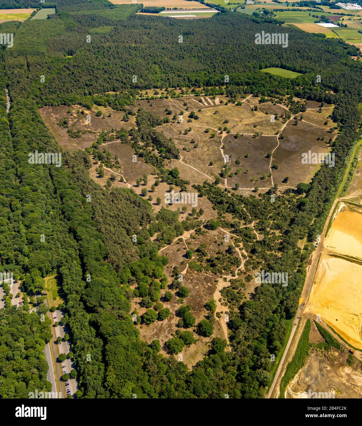 Aerial view of the heathland Westruper heath in Haltern am See in the Hohe Mark-Westmünsterland nature park in the state of North Rhine-Westphalia, Germany Stock Photo