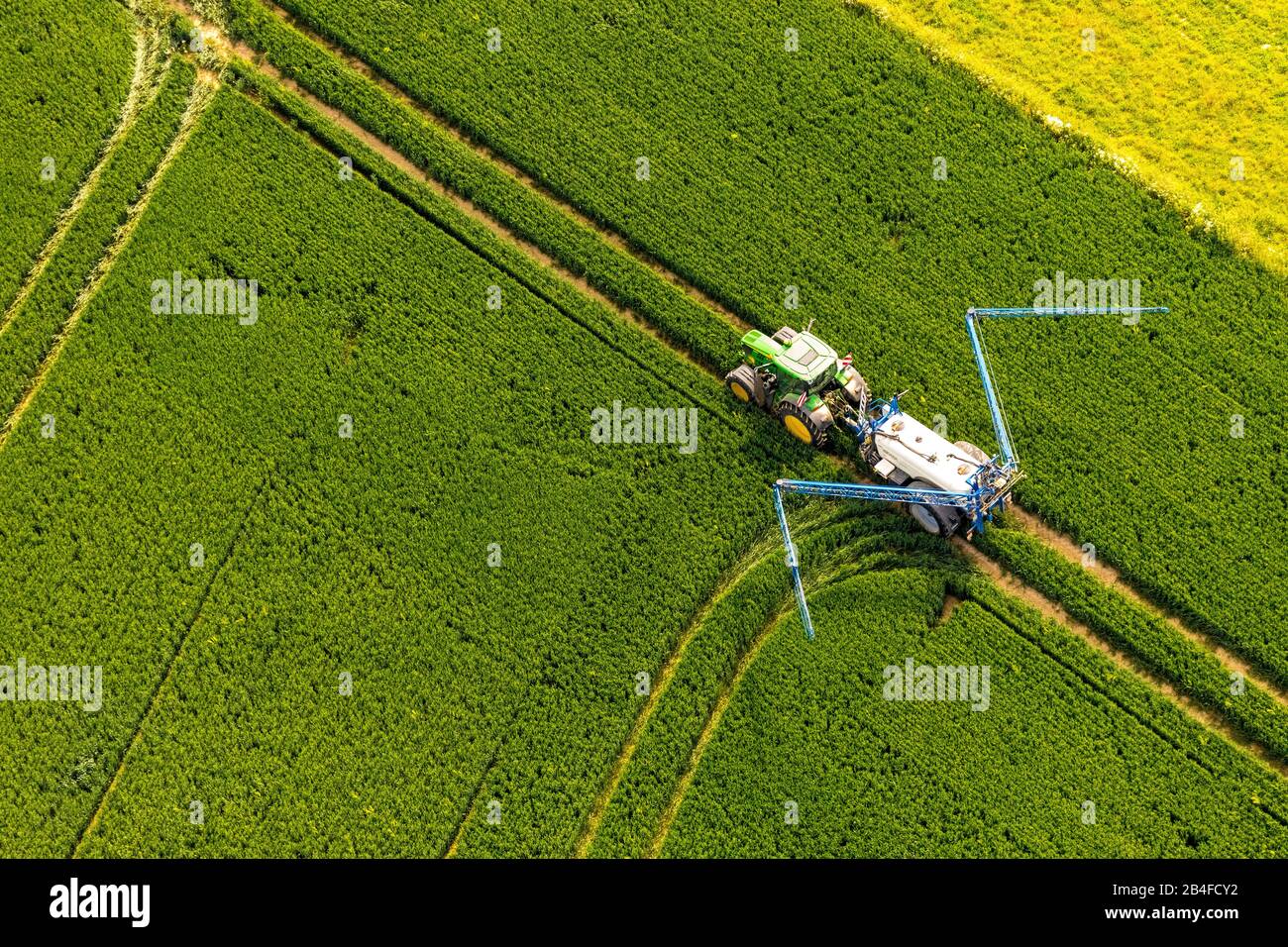 Aerial view of a tractor spraying insecticides on a field at Westönner Bundesstrasse, Mawicker Bundesstrasse and Autobahn A44 with fields and meadows in Werl in Soester Börde in North Rhine-Westphalia in Germany, Werl, Soester Börde, North Rhine-Westphalia, Germany Höhberg, fields, environmental protection, insecticide, spraying fields, furrows, cornfield, green tractor Stock Photo