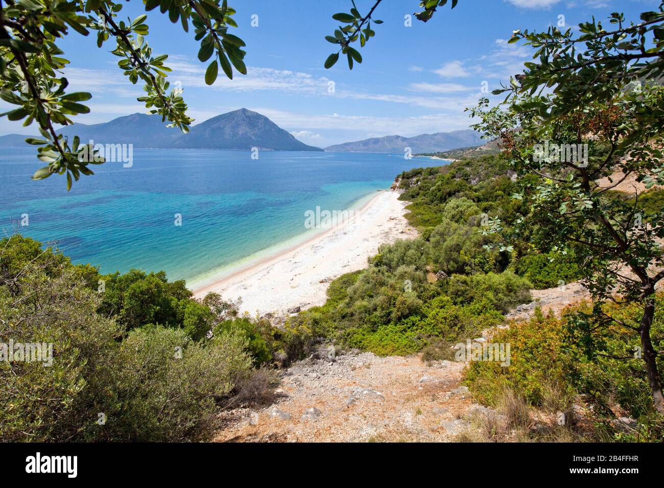 Olive grove on the sea in front of the island of Kalamos, Ionian Islands, in central Greece, Griechenland Stock Photo