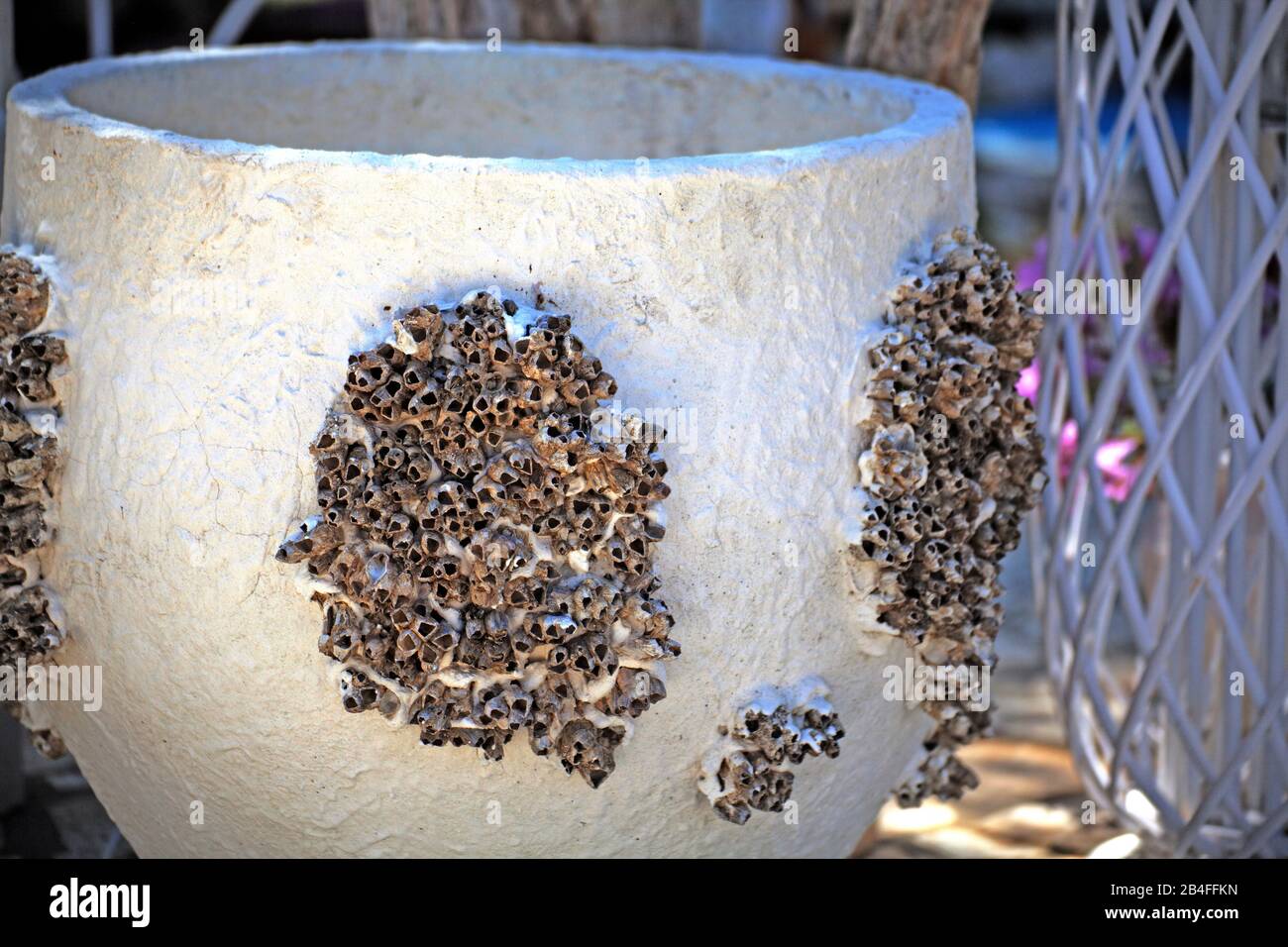 Pottery artistically occupied with barnacles, Greece, Balanidae Stock Photo