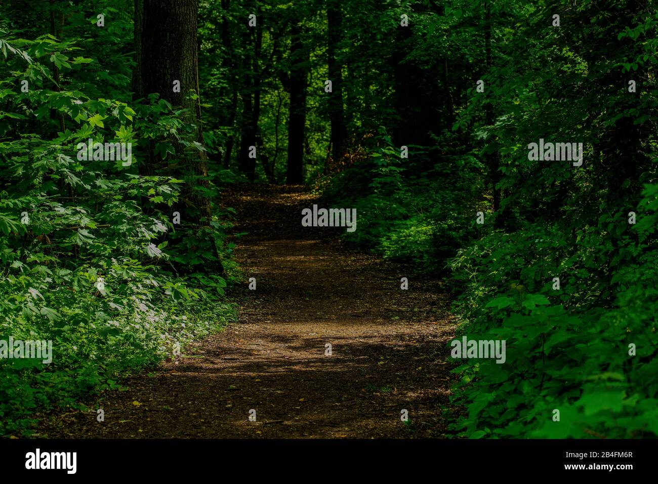Spring in shadow hi-res stock photography and images - Alamy