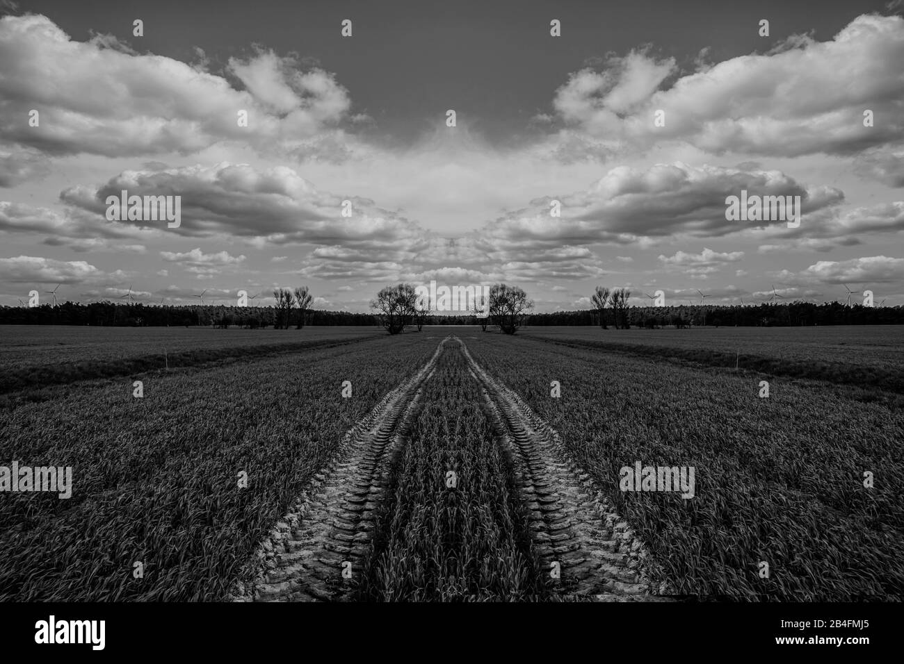 White clouds on sunny Black and White Stock Photos & Images - Alamy