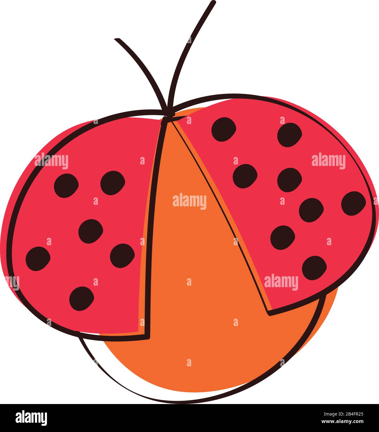 cute ladybug spring insect hand draw style Stock Vector Image & Art - Alamy