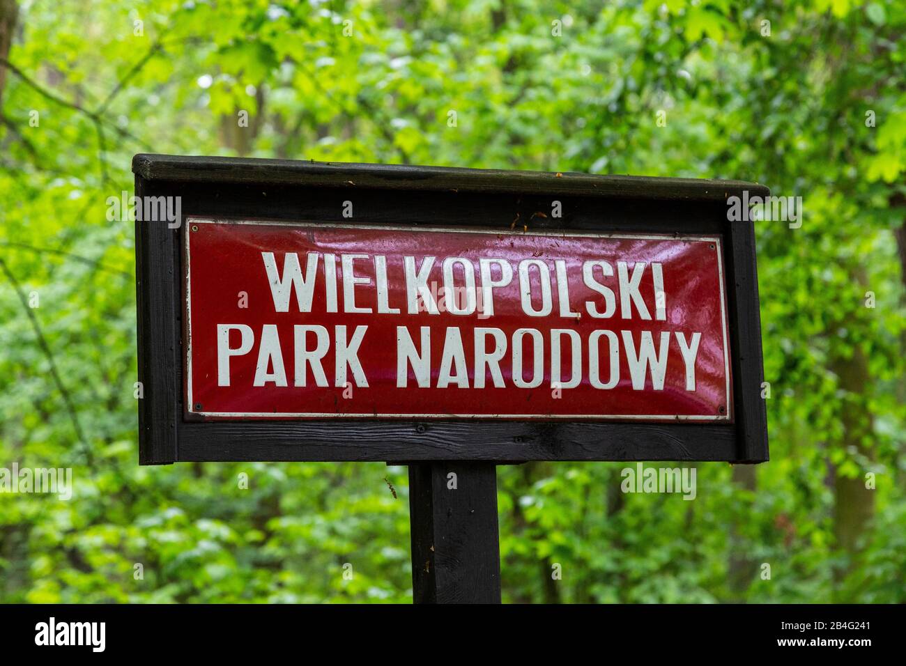 Europe, Poland, Greater Poland, Wielkopolski National Park Stock Photo