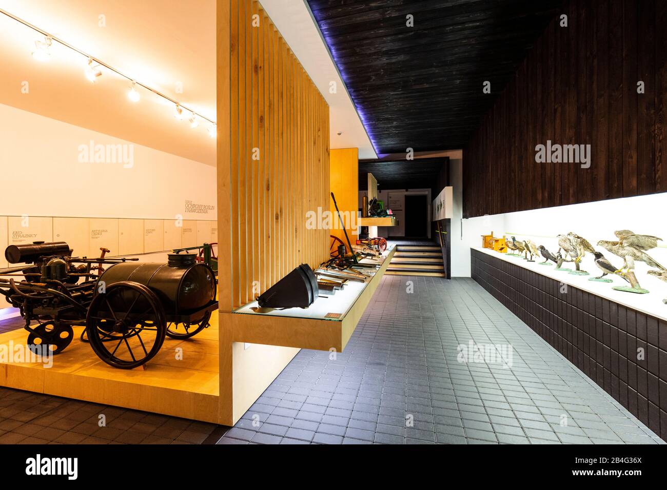 Europe, Poland, Greater Poland, National Museum of Agriculture in Szreniawa / National Museum of