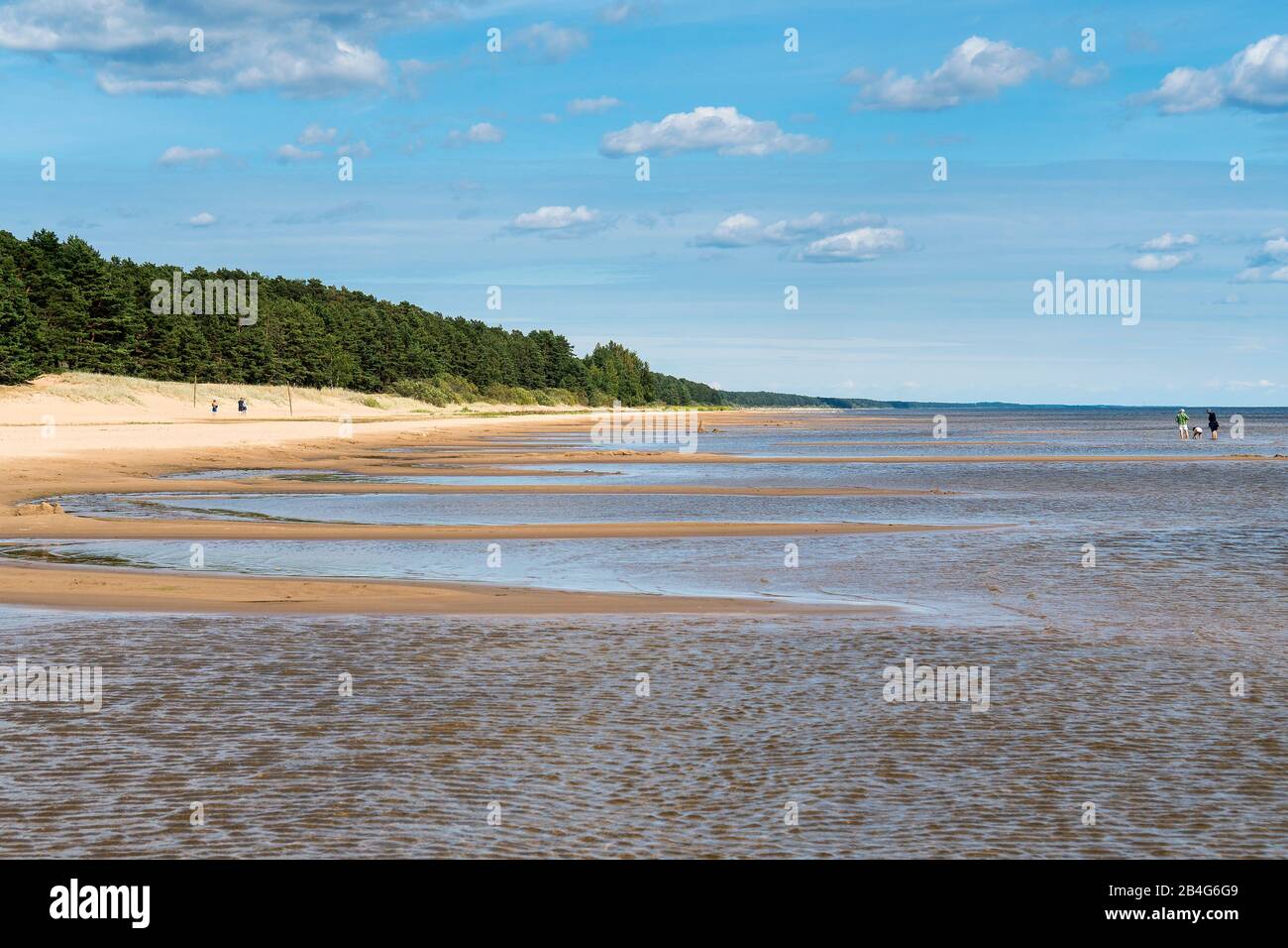 Estland, Peipsi Järv, Peipsi-See, Strand bei Kauksi, Urlauber Stock Photo
