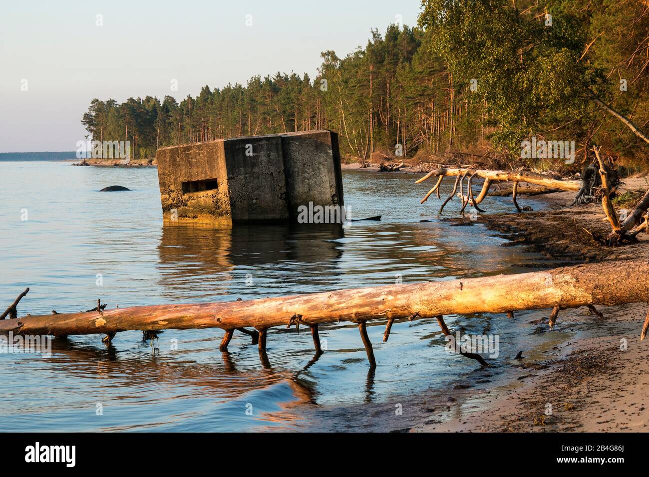 Estland, Ostseeinsel Hiiumaa, Tareste, Törvanina-Naturstrand im Morgenlicht, Treibgut, Weltkriegsbunker Stock Photo