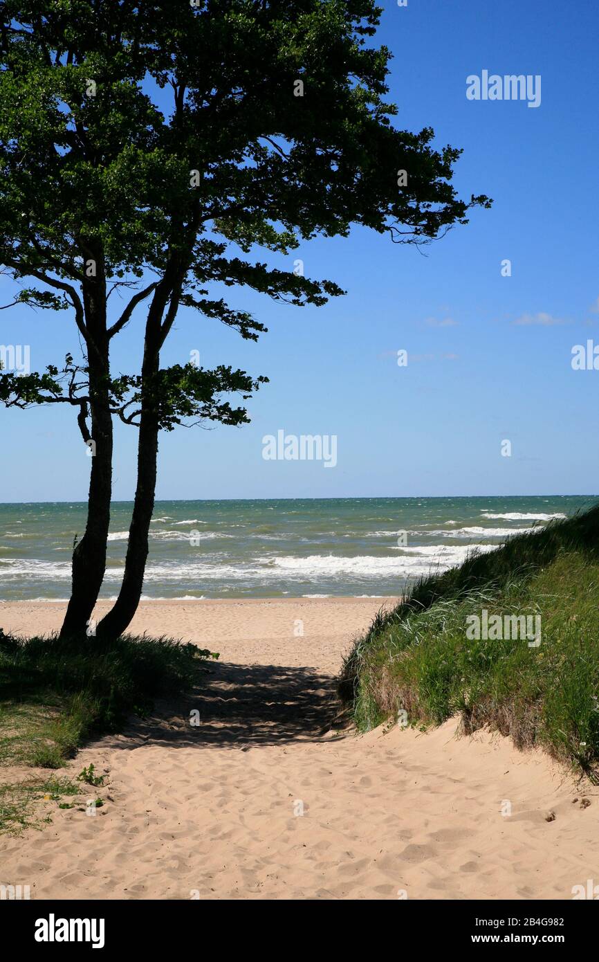 Beach path to the Baltic Sea, Lithuania, Baltic States Stock Photo