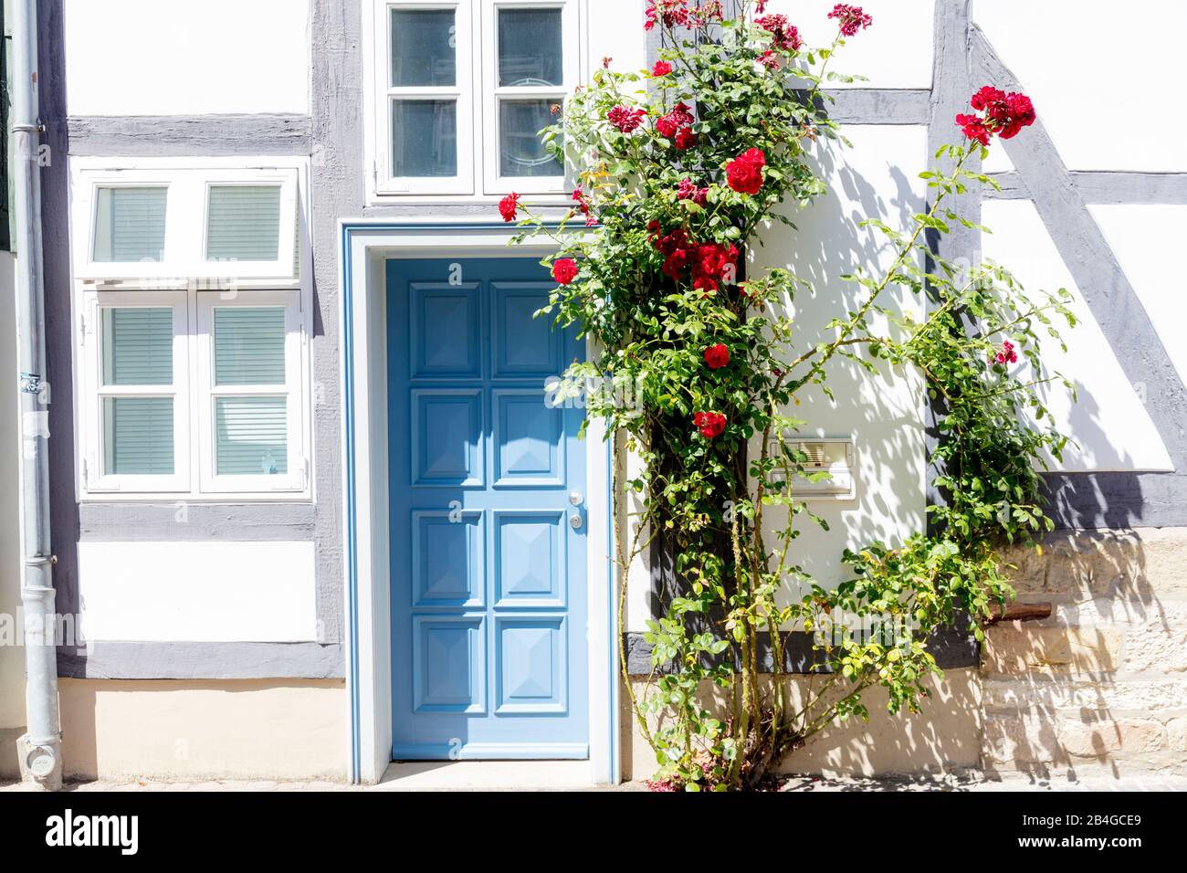 House facade, front door, windows, flower decoration, Wolfenbüttel, Lower Saxony, Germany, Europe Stock Photo