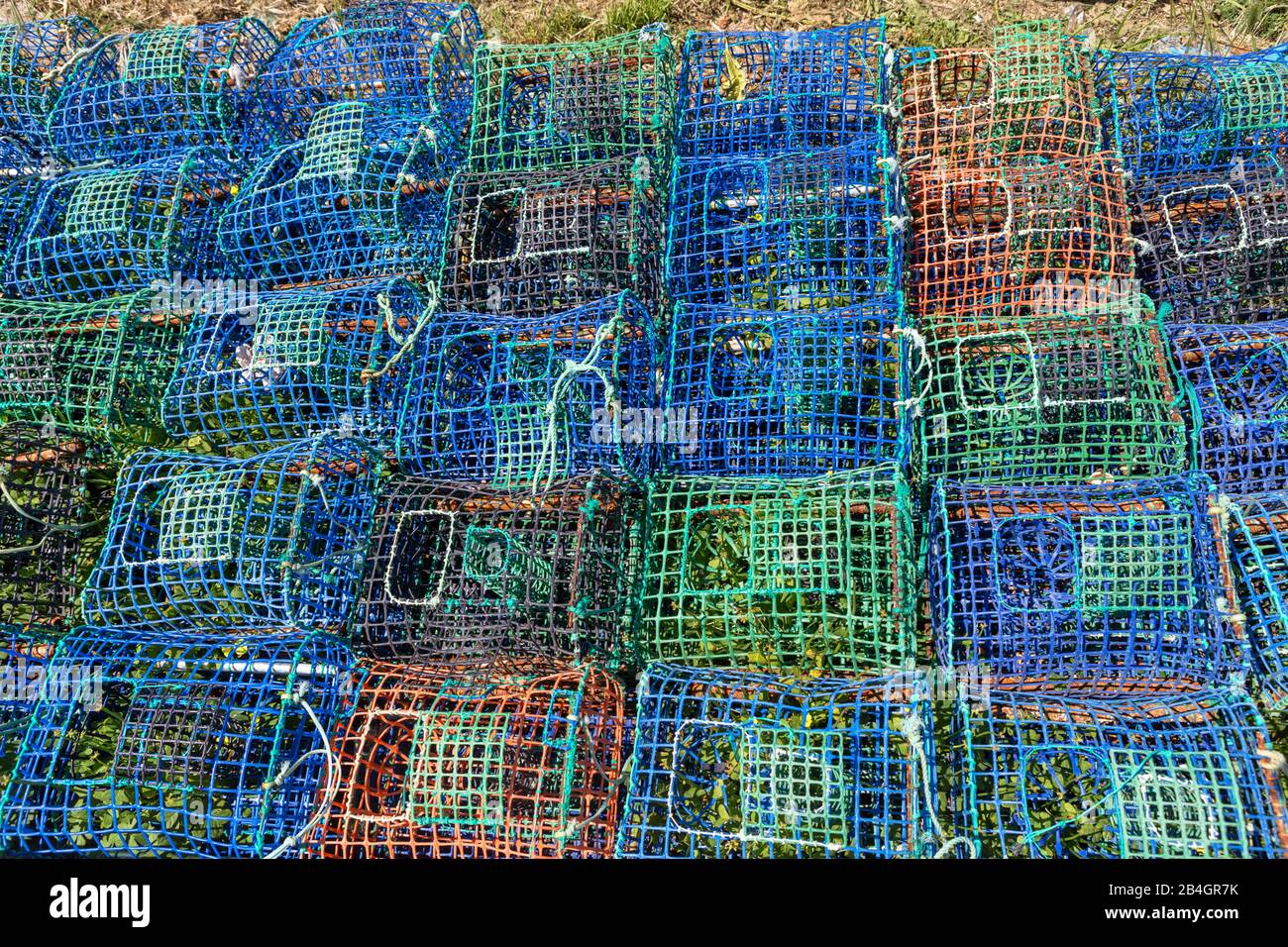 Old fish traps hi-res stock photography and images - Page 3 - Alamy