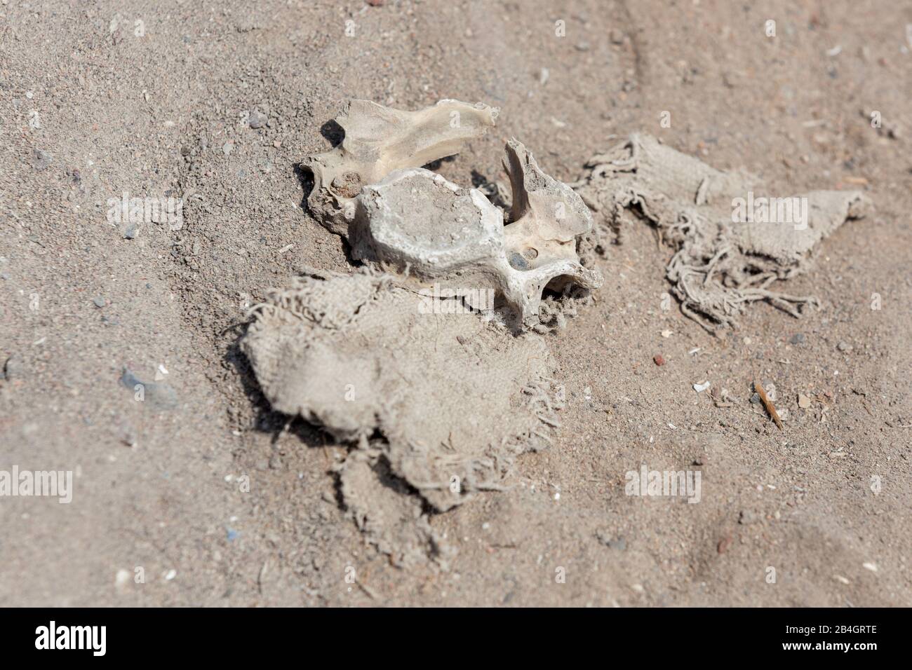 Fragments of cloth and bone remains from past civilizations laying on the desert sand in the archeological site of Pachacamac, Peru. Stock Photo