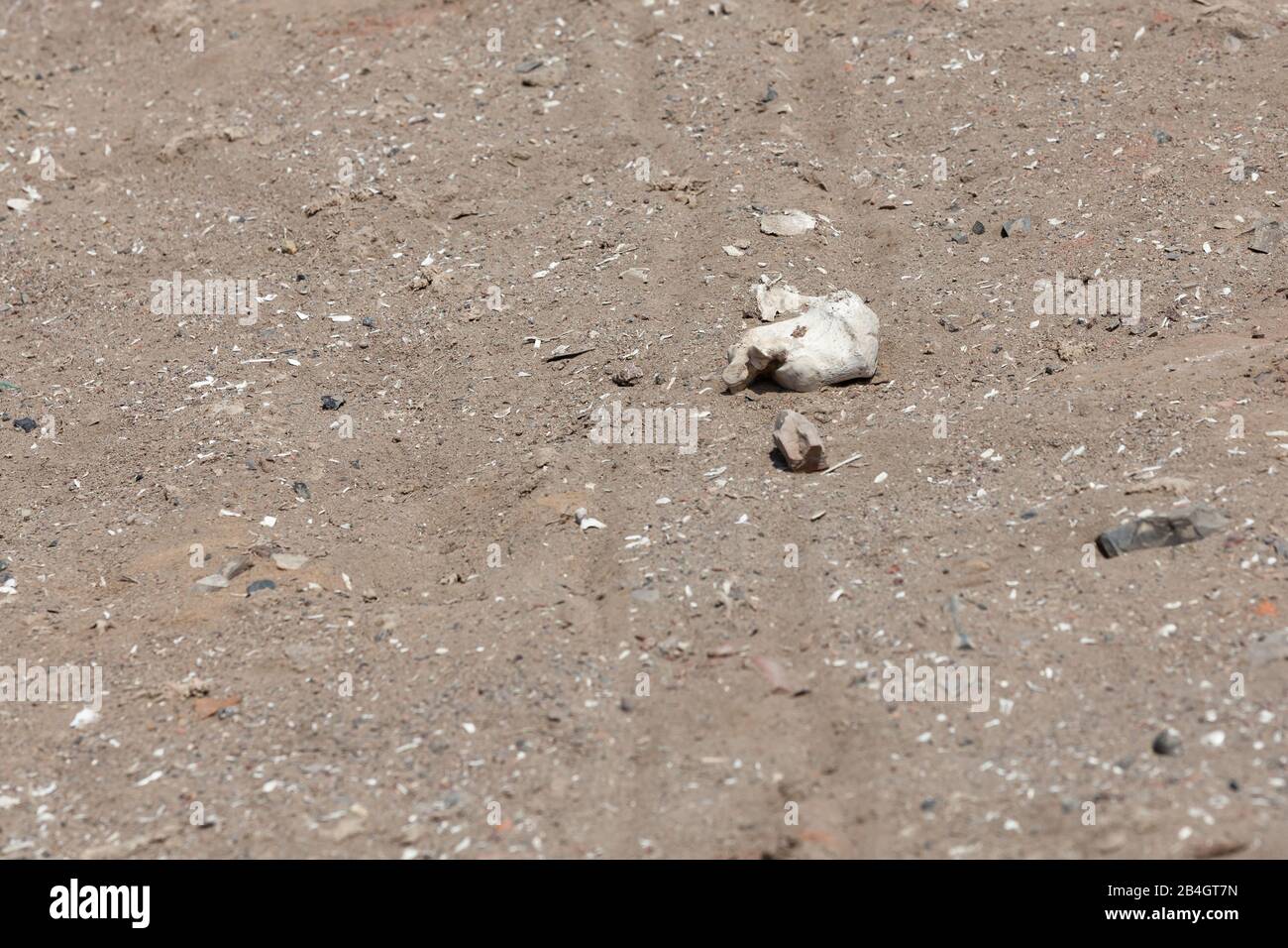 Bone fragments and remains from past civilizations laying on the desert sand in the archeological site of Pachacamac, Peru. Stock Photo