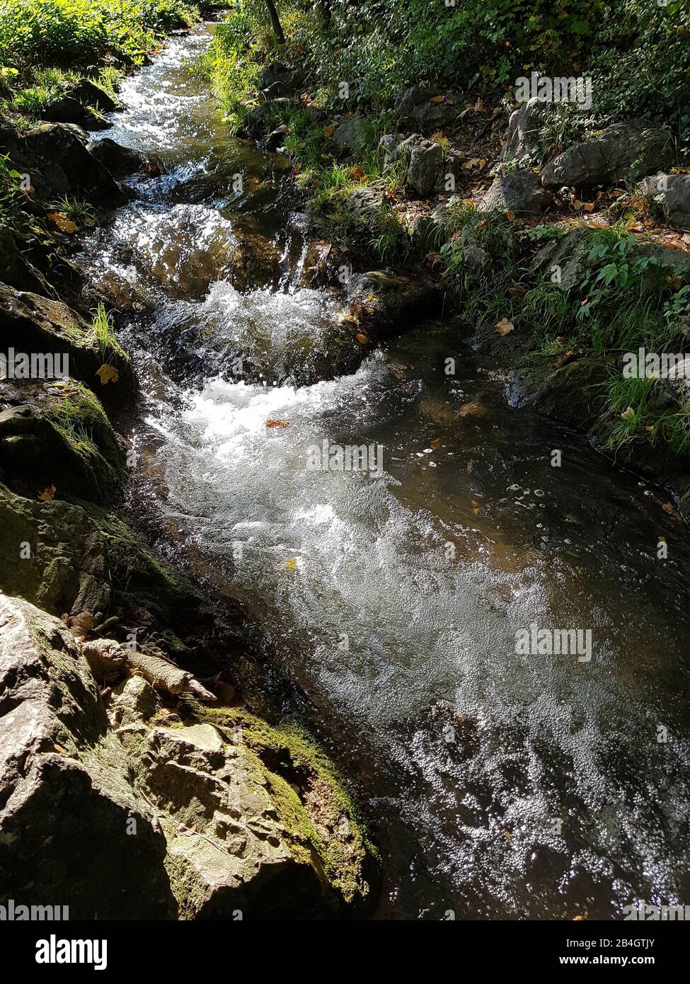 Hachinger Bach in Munich Stock Photo - Alamy