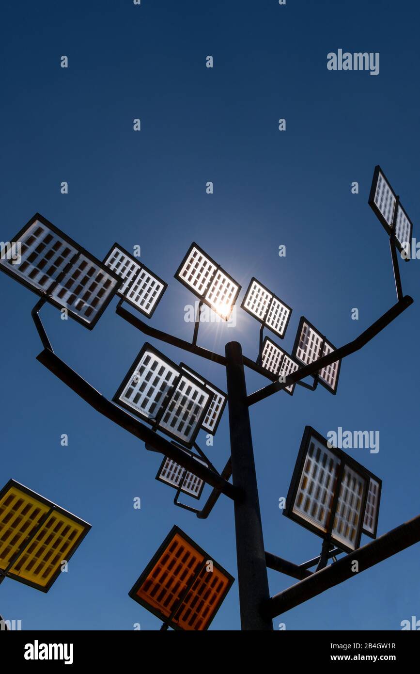 Solarzellen, Solarbaum, Ulmer Wohnviertel Solar City, Ulm, Baden-Württemberg, Deutschland, Europa Stock Photo