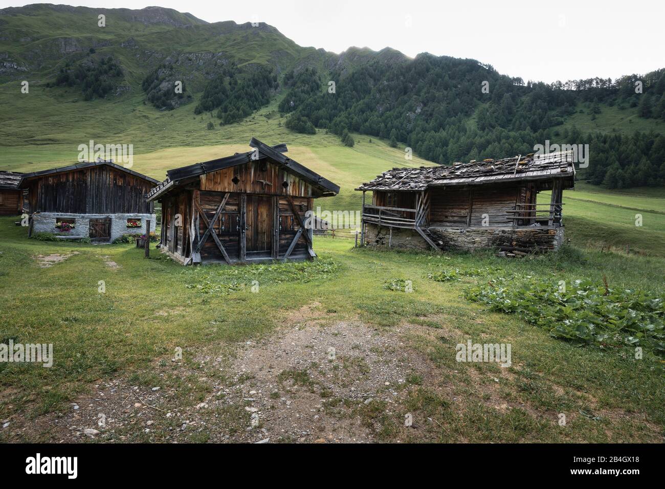 Fane Alm, Almdorf, South Tyrol, Italy, Europe Stock Photo