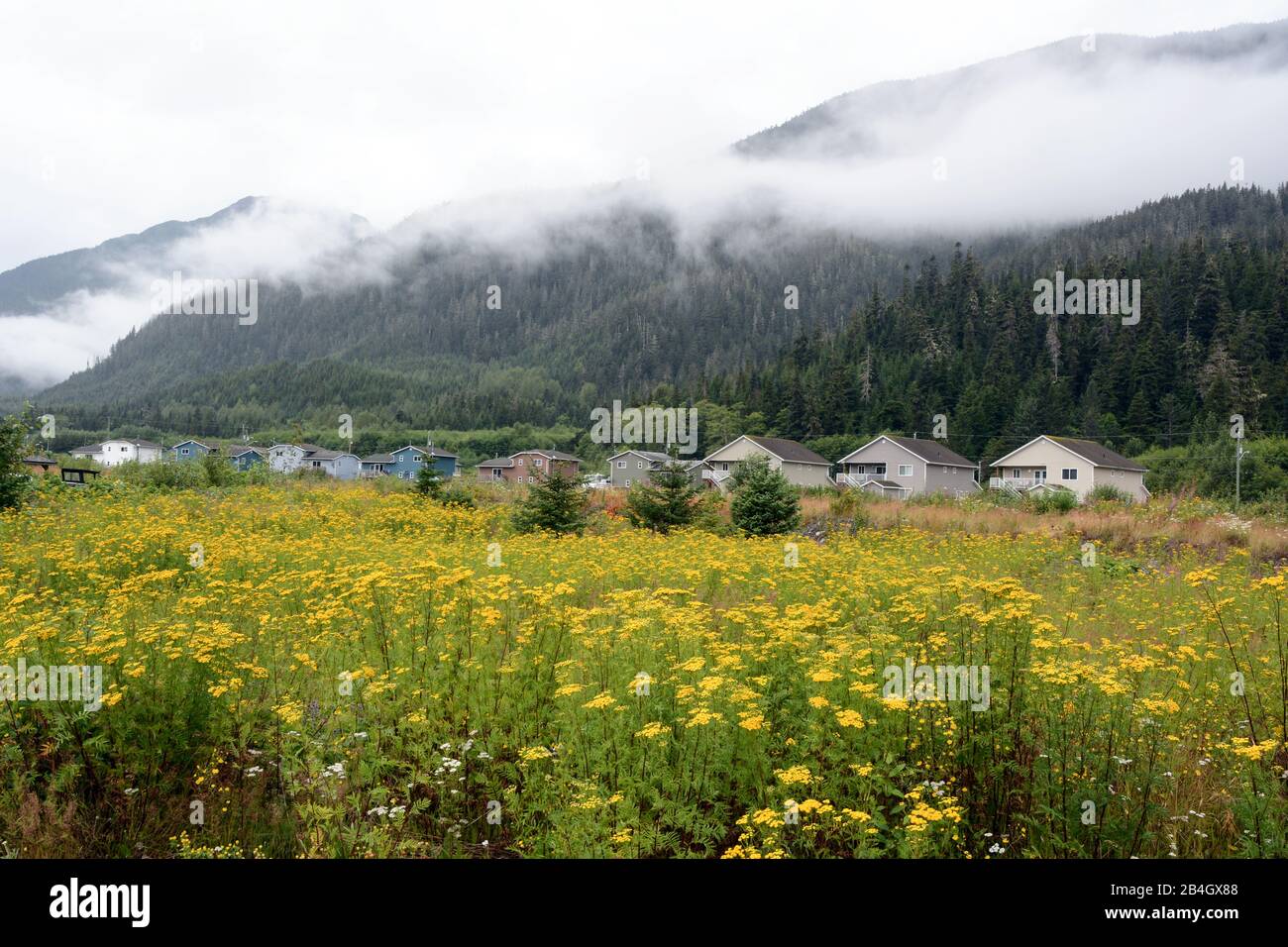 The village of Laxgalts'ap, a Nisga'a First Nation community in the