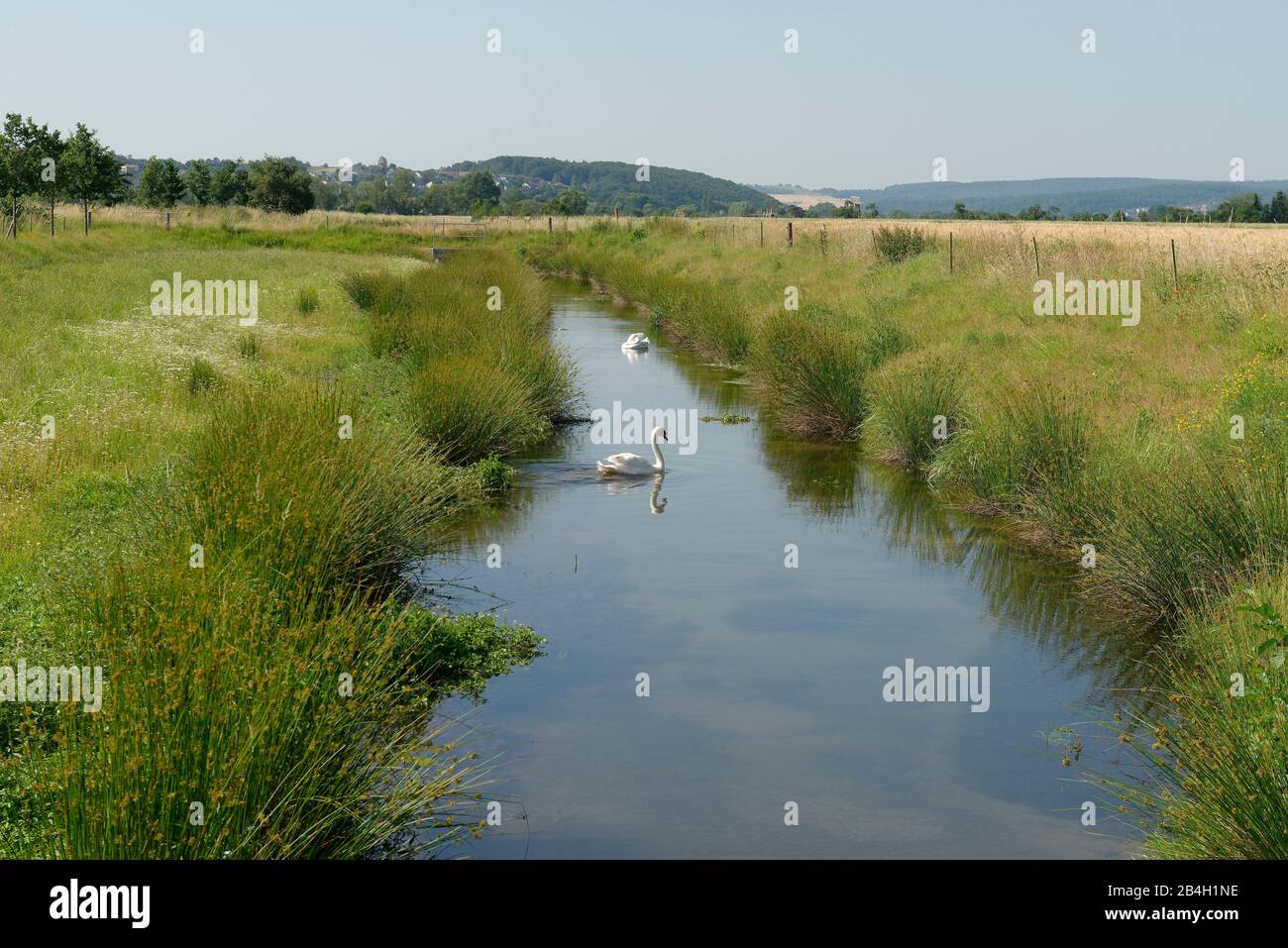 Lahntalradweg between Marburg and Gießen, Hesse, Germany Stock Photo