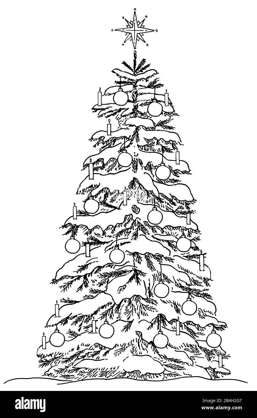 Verschneiter Weihnachtsbaum mit Kerzen, Christbaumkugeln und Sternspitze in schwarzweiß zum Ausmalen Stock Photo