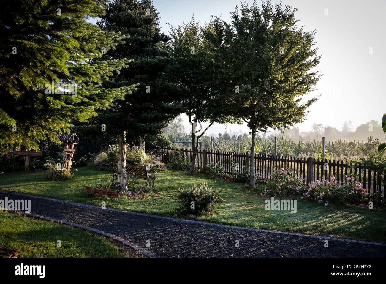 Morning mood in a garden hi-res stock photography and images - Alamy