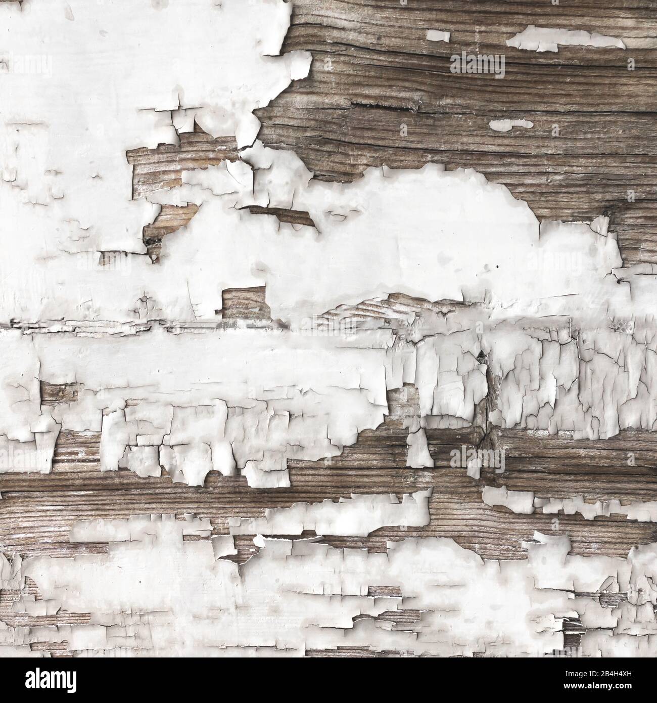 Peeling paint on wood. Background of old board with peeling white paint ...