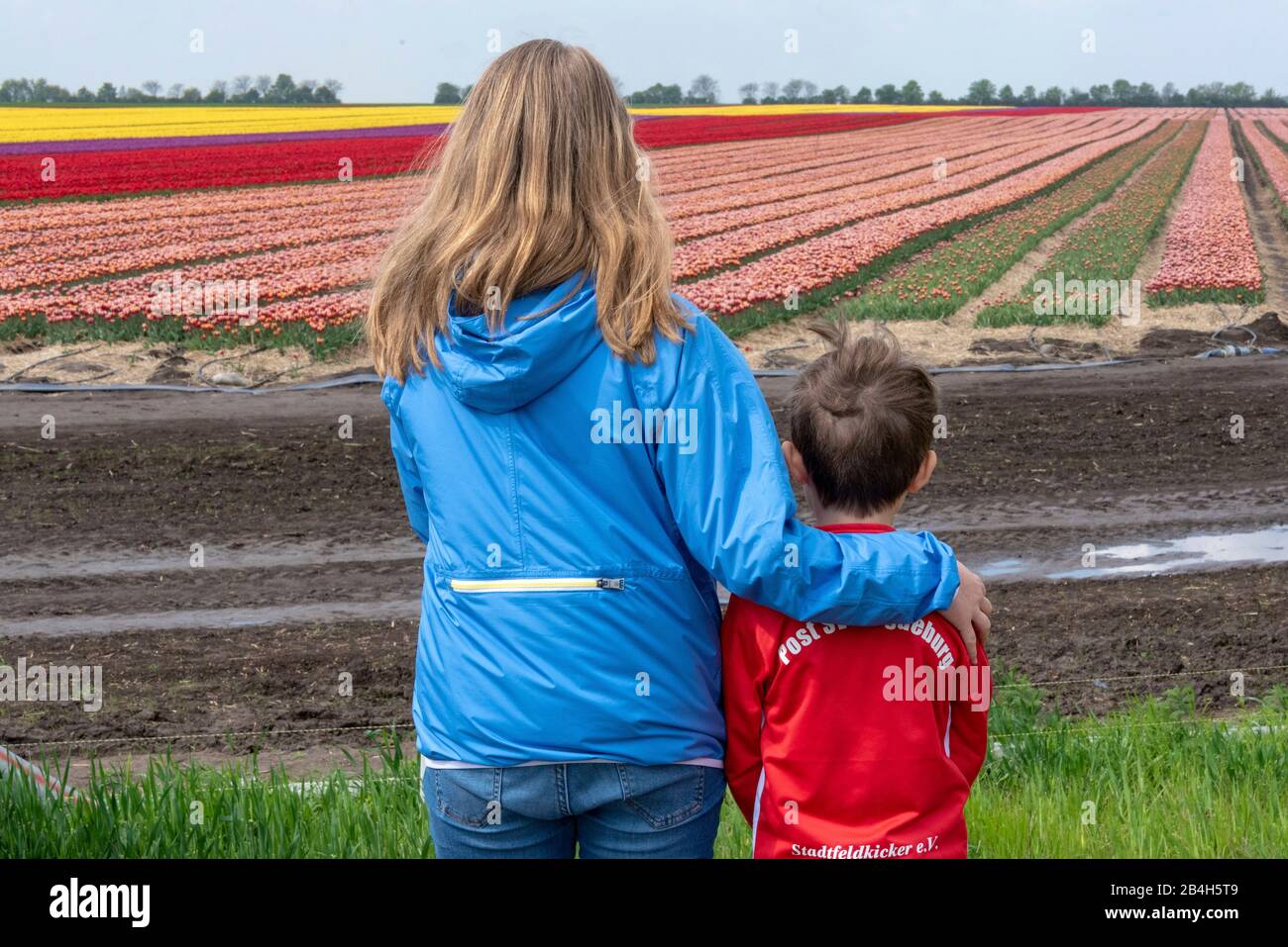 A girl and a boy look at a tulip field reaching to the horizon, Stock Photo