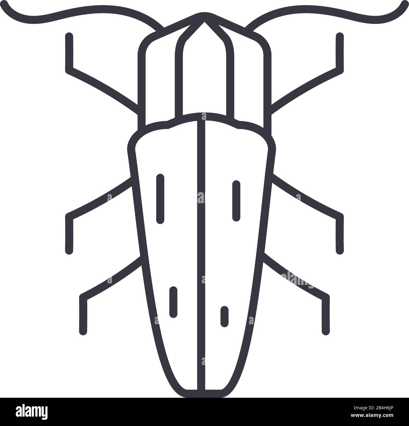 earwing insect icon over white background, line detail style, vector ...